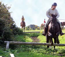Ireland-Sligo/Donegal-Cross Country & Jumping  Program - Sligo